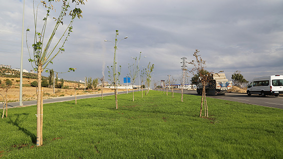 Av. Mehmet Ali Kısakürek Caddesi (5)