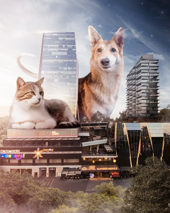 Next_Level_AVM_4_Ekim