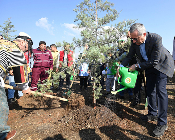 Milli Ağaçlandırma Günü (11)