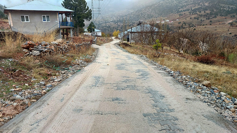 Sarısabak (6)