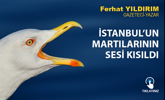 ferhat_yildirim_martilar