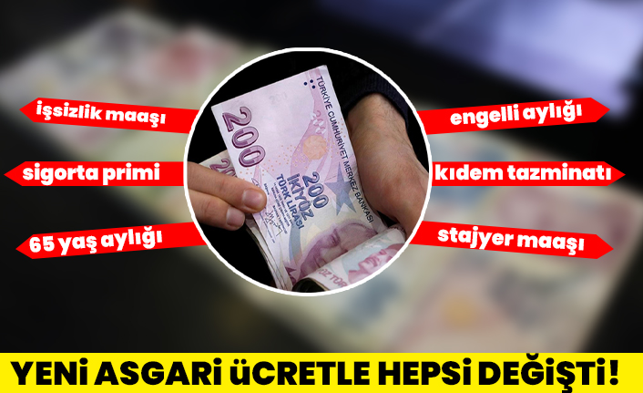 yani_asgari_ucretle_hepsi_degisti_issizlik_maasi_sigorta_pirimi_65_yas_ayligi_engelli_ayligi_kidem_tazminati_stajyer_maasi_h102628_f9129