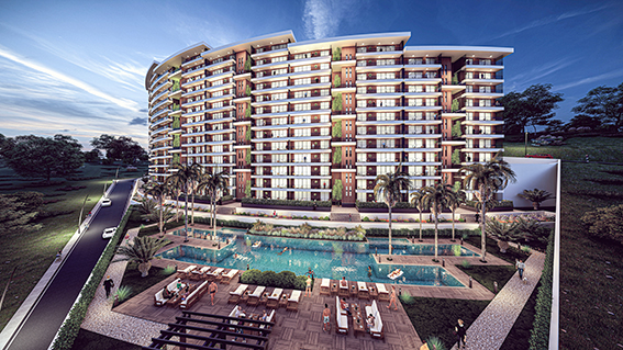 SİRİUS FLORİDA_100713771