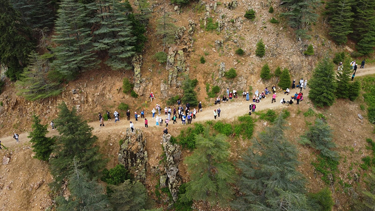 Yavşan Yaylası (5)