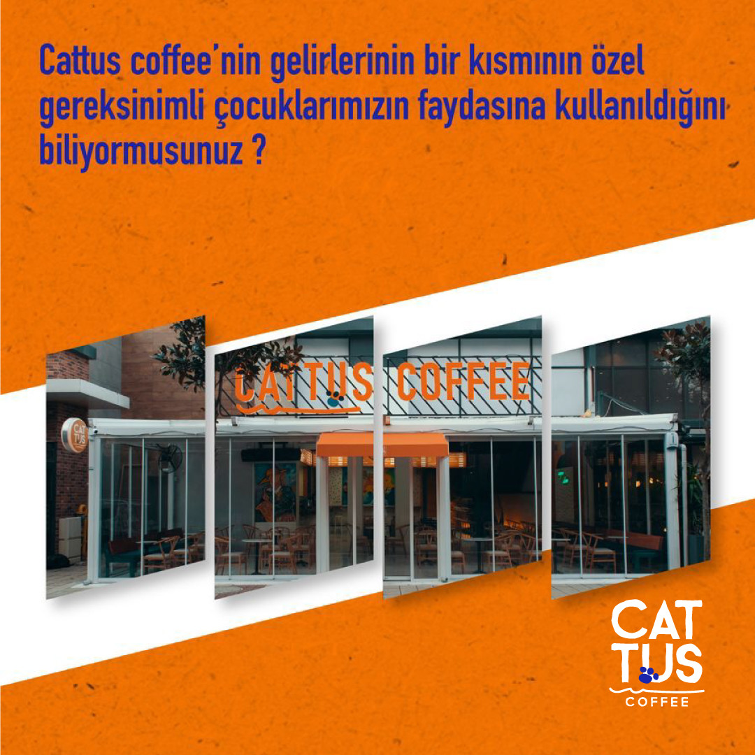 SOSYAL PROJE KAFESİ CATTUS!