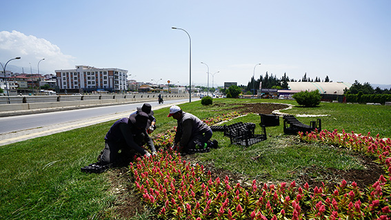 Çiçek Dikimi (7)
