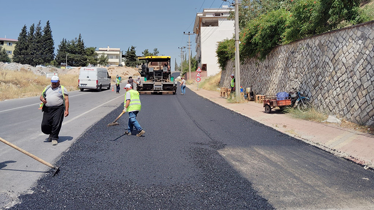 Bayazıtlı (4)