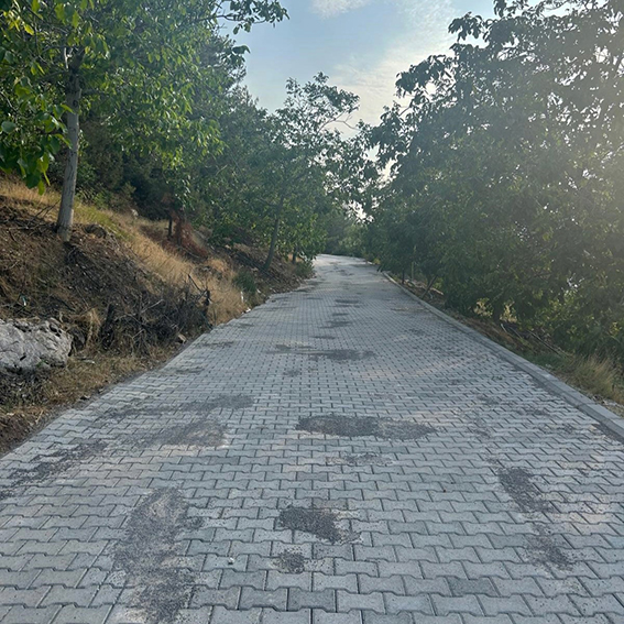 Hacıeyüplü (1)