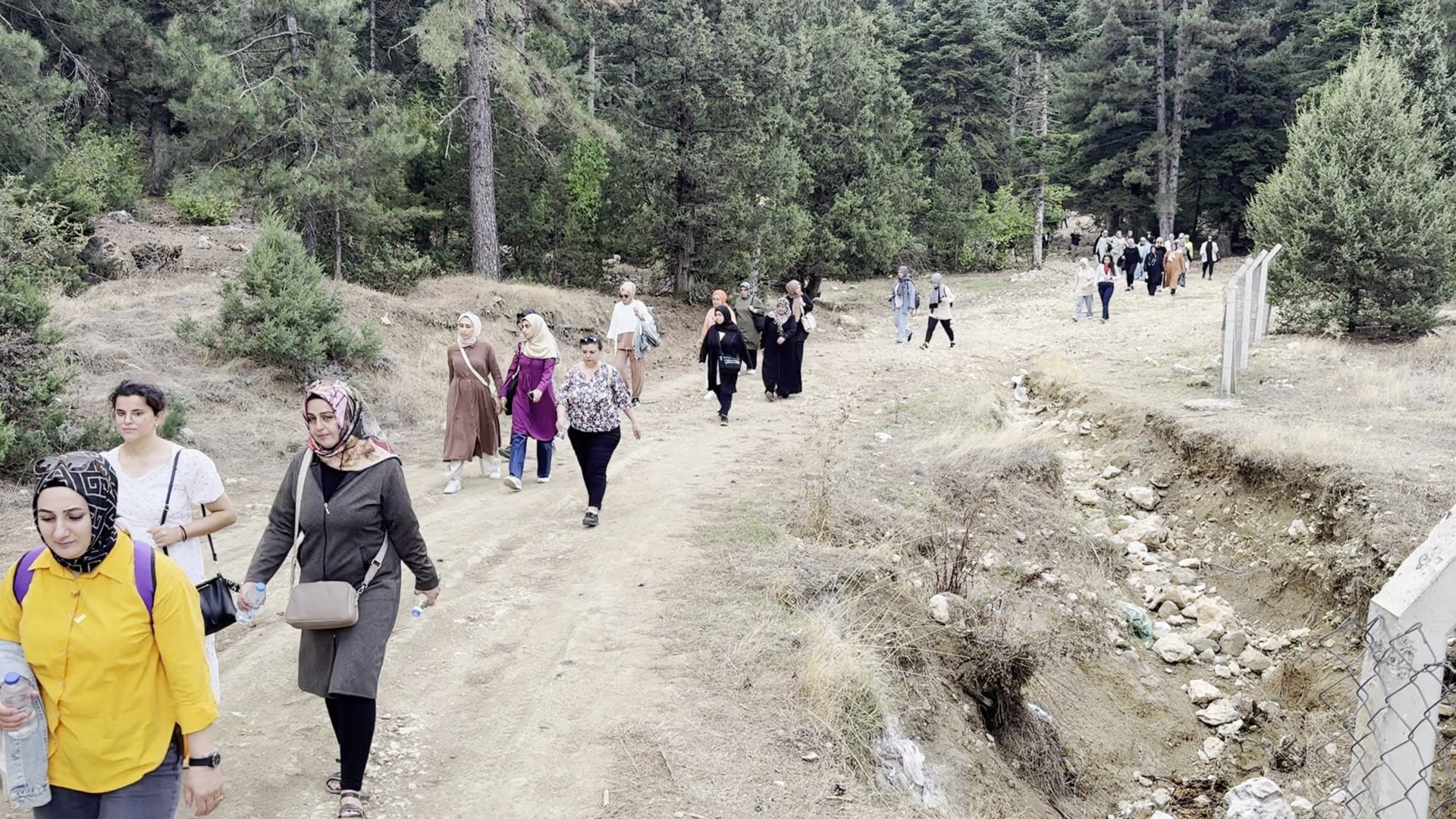 Doğa Yürüyüşü (5)