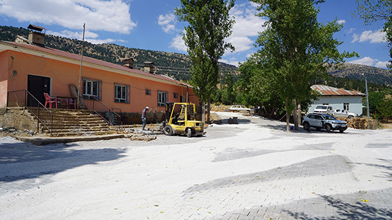 Güldağ (3)