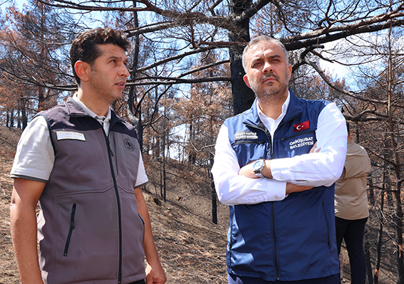 Başkan Toptaş, Çamlıbel-Çakırdere’deki mühürleme çalışmalarını inceledi