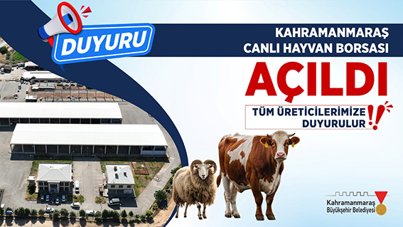 Canlı Hayvan Pazarı Açıldı
