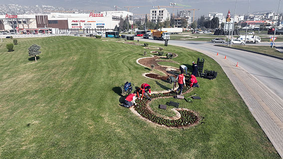 Büyükşehir Kavşakları 500 Bin Çiçekle Renklendiriyor