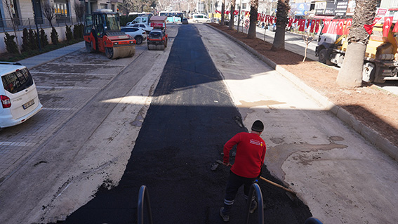 Trabzon Bulvarı (5)