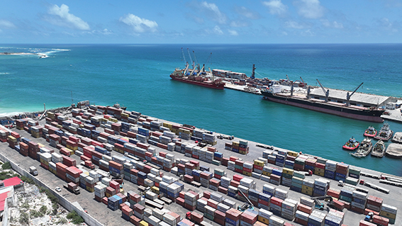 Albayrak Grubu, yurtdışındaki 7 stratejik limanını ALPORT markası altında topladı.