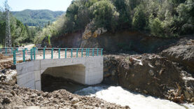 Andırın Darıovası (1)