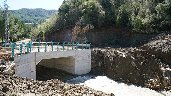 Andırın Darıovası (1)