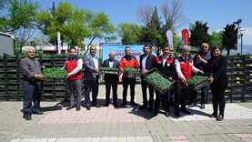 Fide Dağıtımı (2)