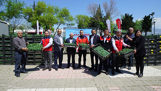 Fide Dağıtımı (2)