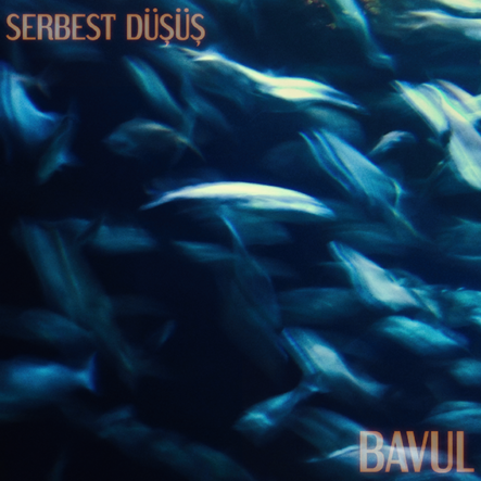 Serbest Düşüş - Bavul _ Kapak Görseli