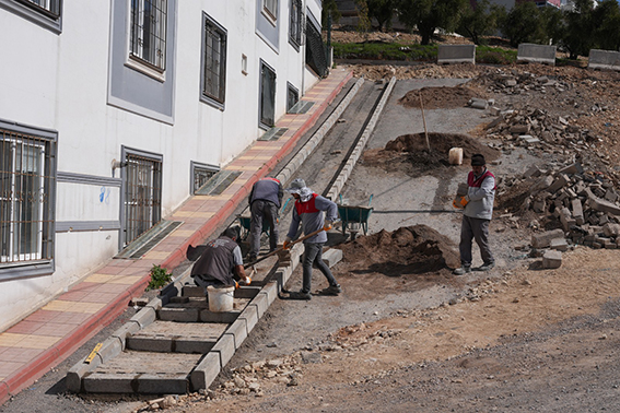 WhatsApp Image 2026-04-07 at 15.55.34 (1)