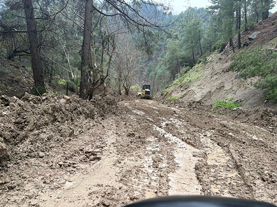 WhatsApp Image 2026-04-08 at 16.46.34