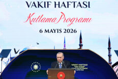 Canlı Bağlantı (3)