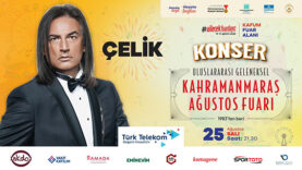 Çelik