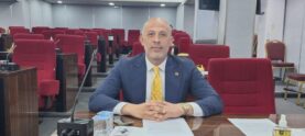 Onur Demirel1