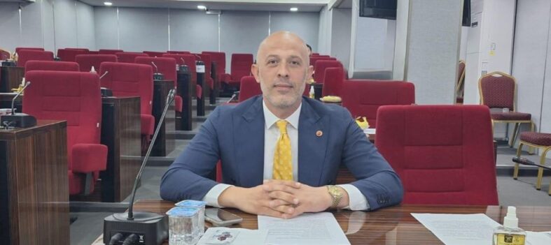 Onur Demirel1