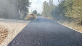 Göksun Devlettepe (4)